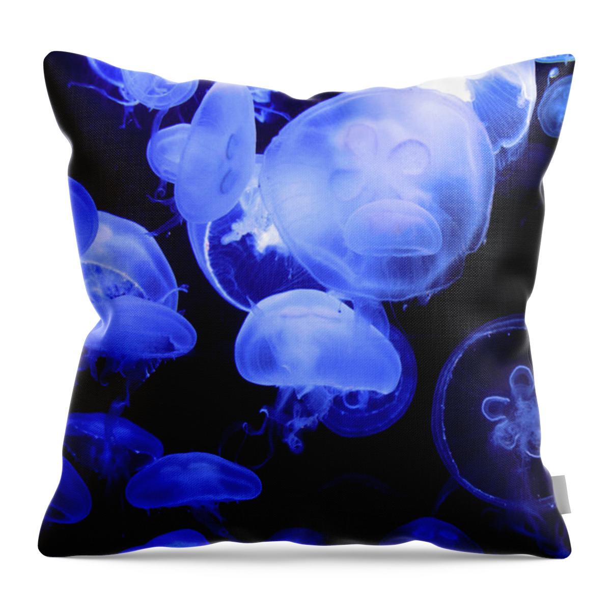 Jellyfish Throw Pillow featuring the photograph Alien by Mitch Cat