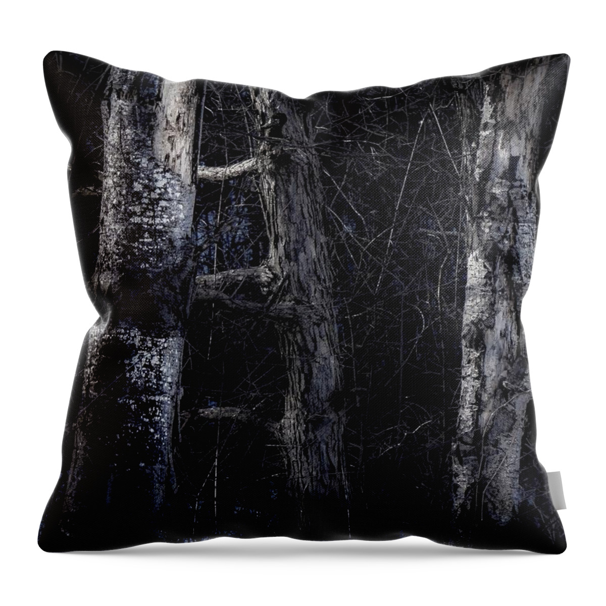  Throw Pillow featuring the photograph All Bark by Kendall McKernon
