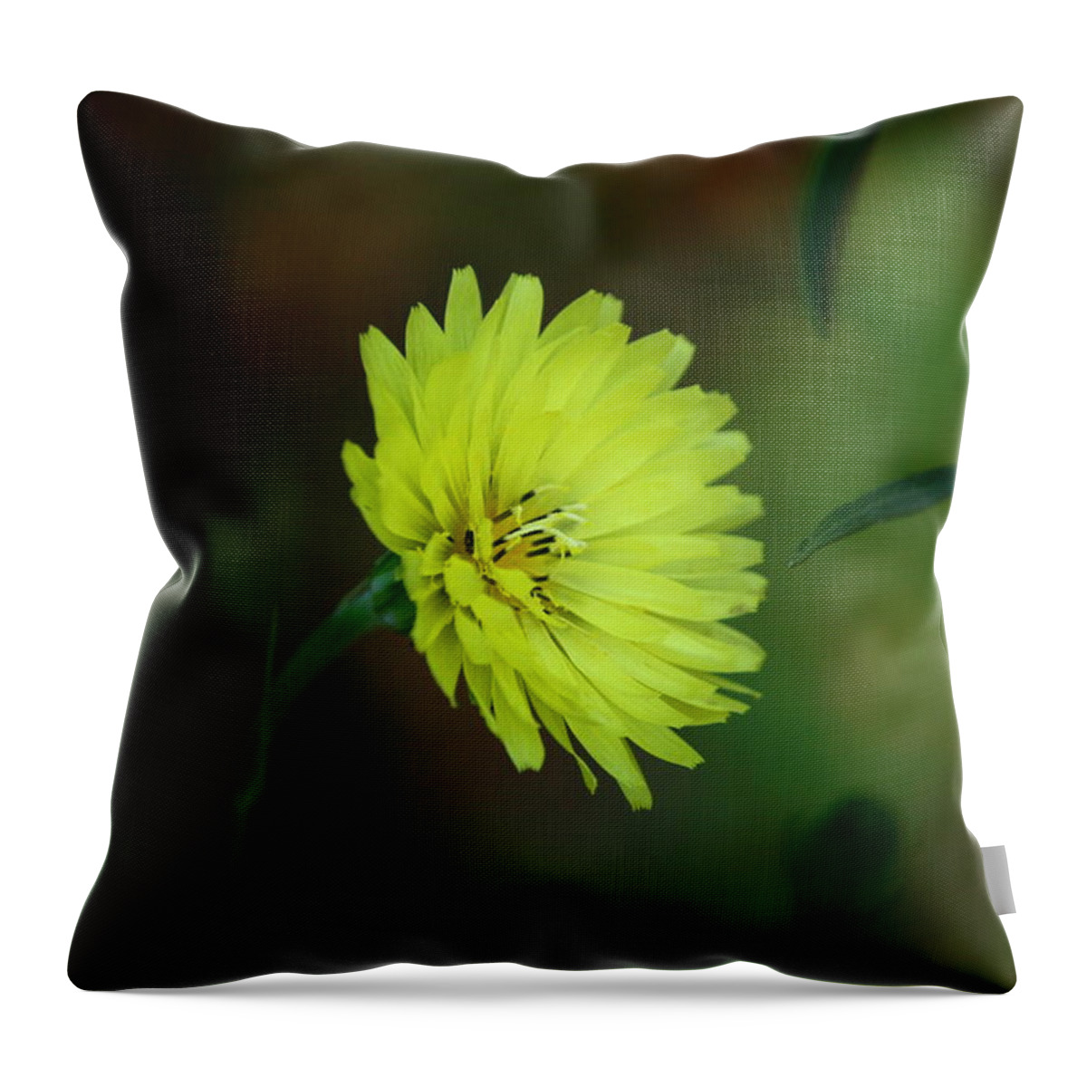 Yellow Throw Pillow featuring the photograph All By Myself by Cathy Harper