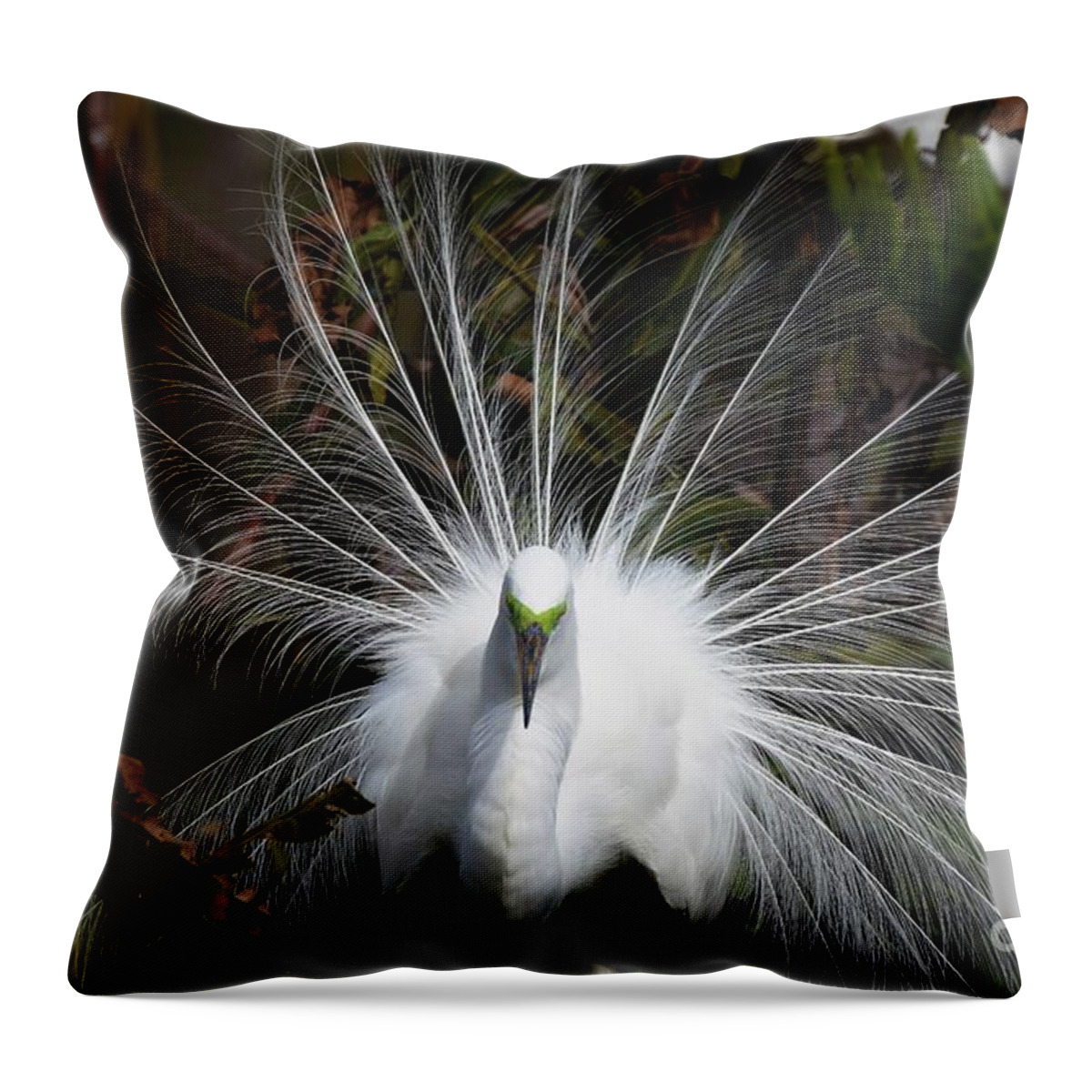 Great Egret Throw Pillow featuring the photograph All Fanned Out by Julie Adair