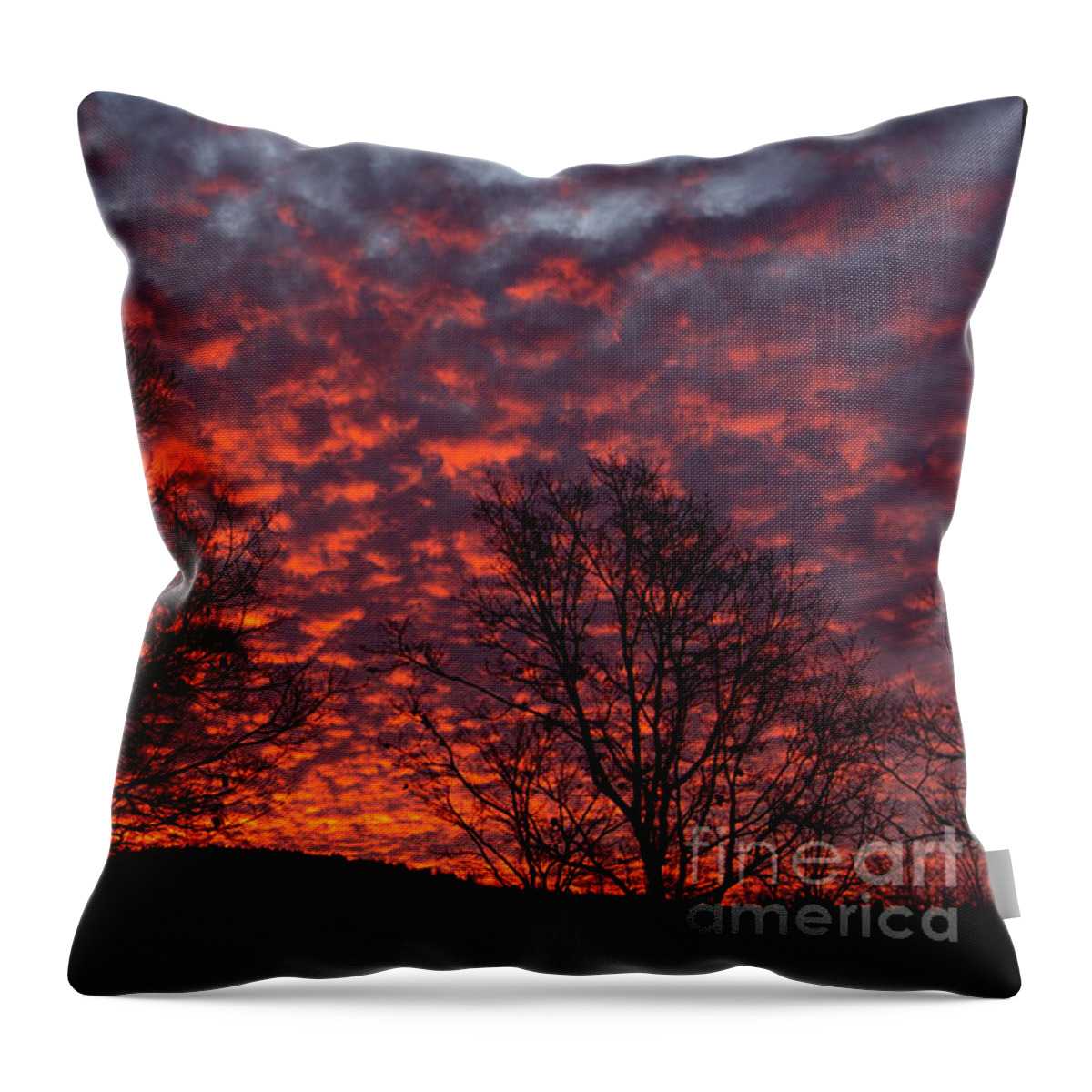 Pink Throw Pillow featuring the photograph All Fluff by Mim White