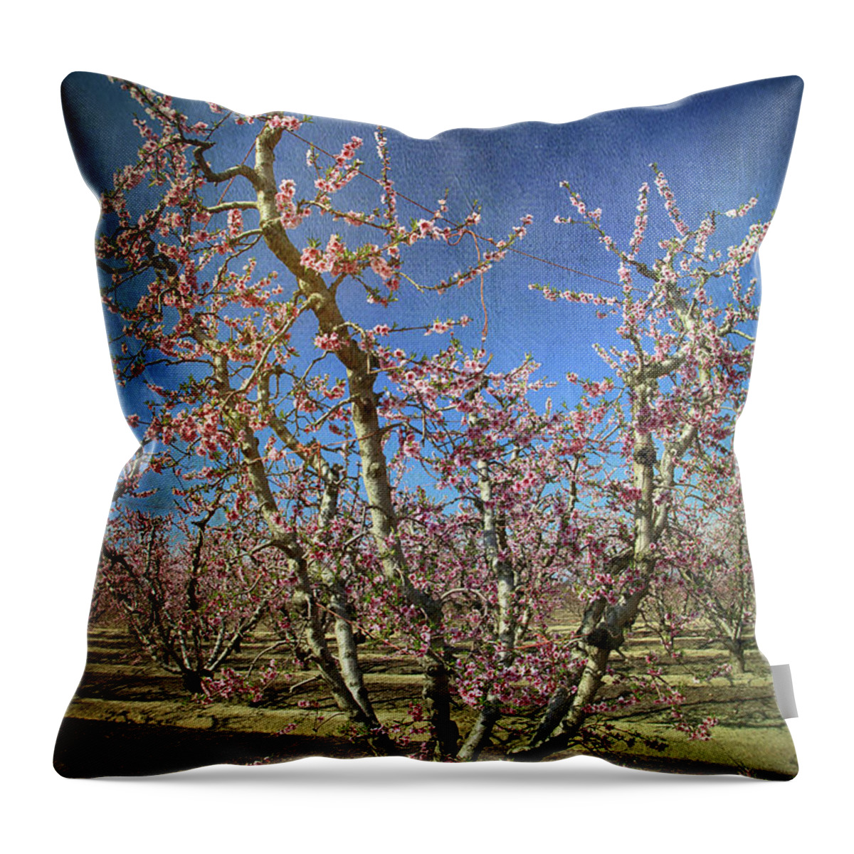 Fresno Blossom Trail Throw Pillow featuring the photograph All Good Things by Laurie Search