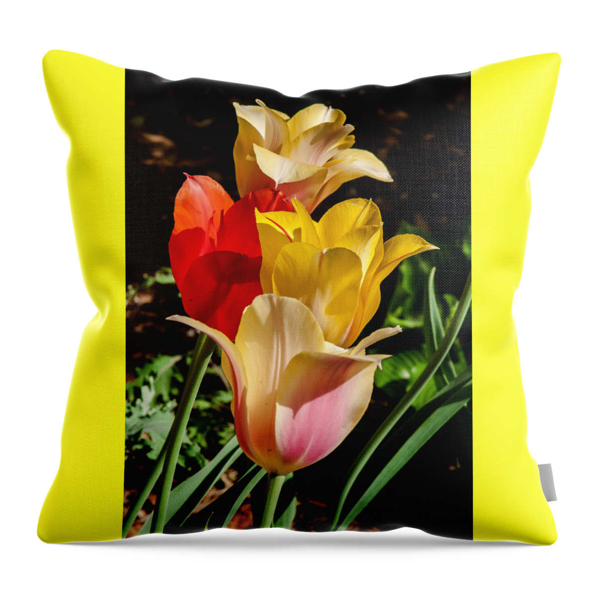 Tulips Throw Pillow featuring the photograph All in a Pretty Row by Jim Moore