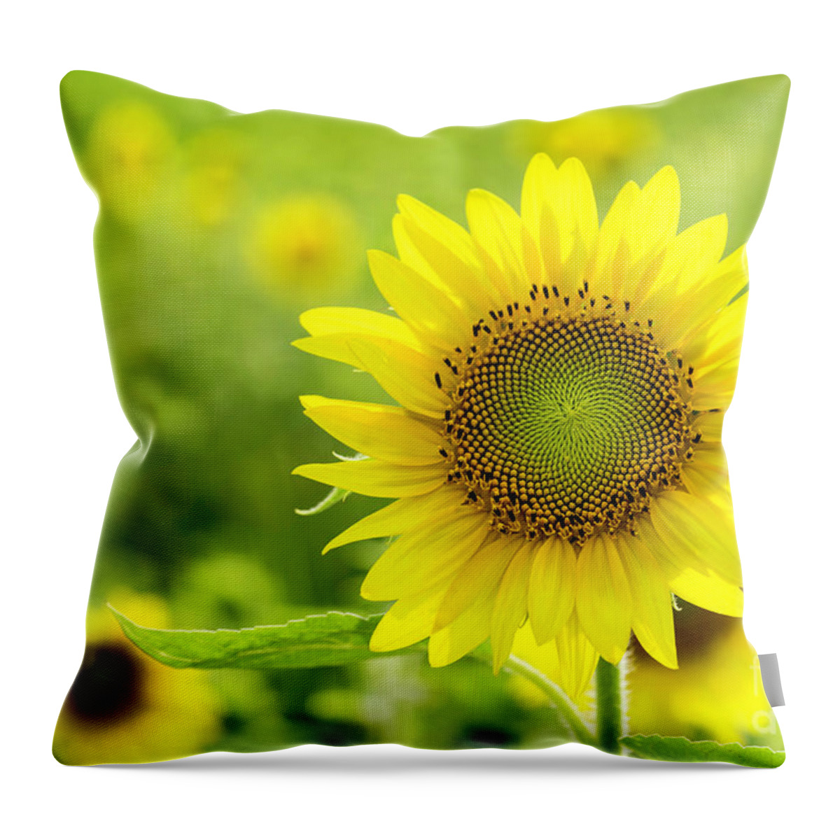 ©cathy Donohoue Photography Throw Pillow featuring the photograph All Is Well With My Soul by Cathy Donohoue