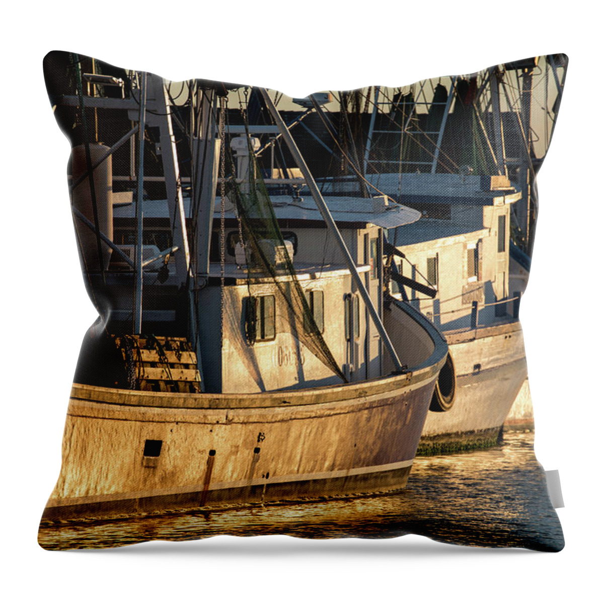 Mt. Pleasant Throw Pillow featuring the photograph All Lined Up by Donnie Whitaker
