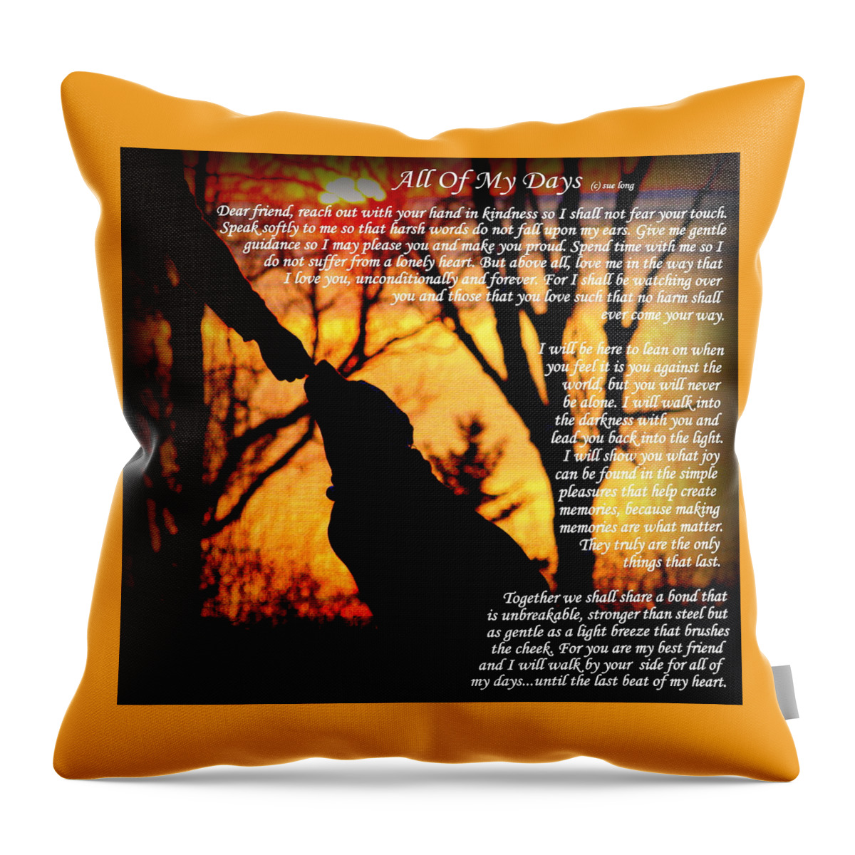 Quote Throw Pillow featuring the photograph All Of My Days Version Three by Sue Long