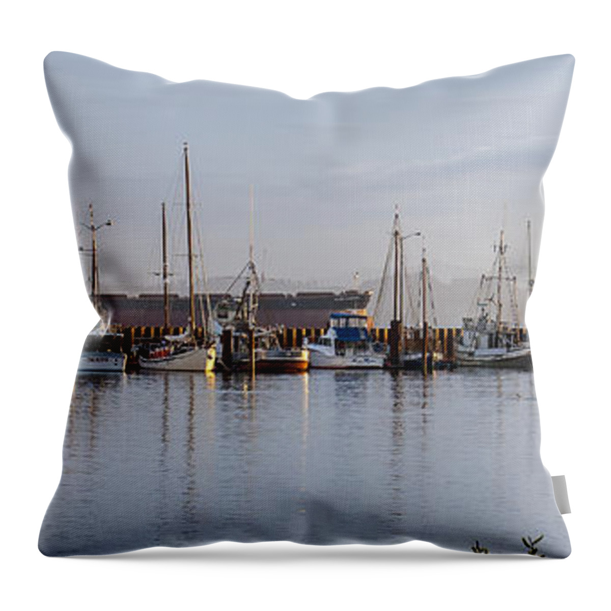 Ships Throw Pillow featuring the photograph All Ships Big and Small by Chuck Flewelling