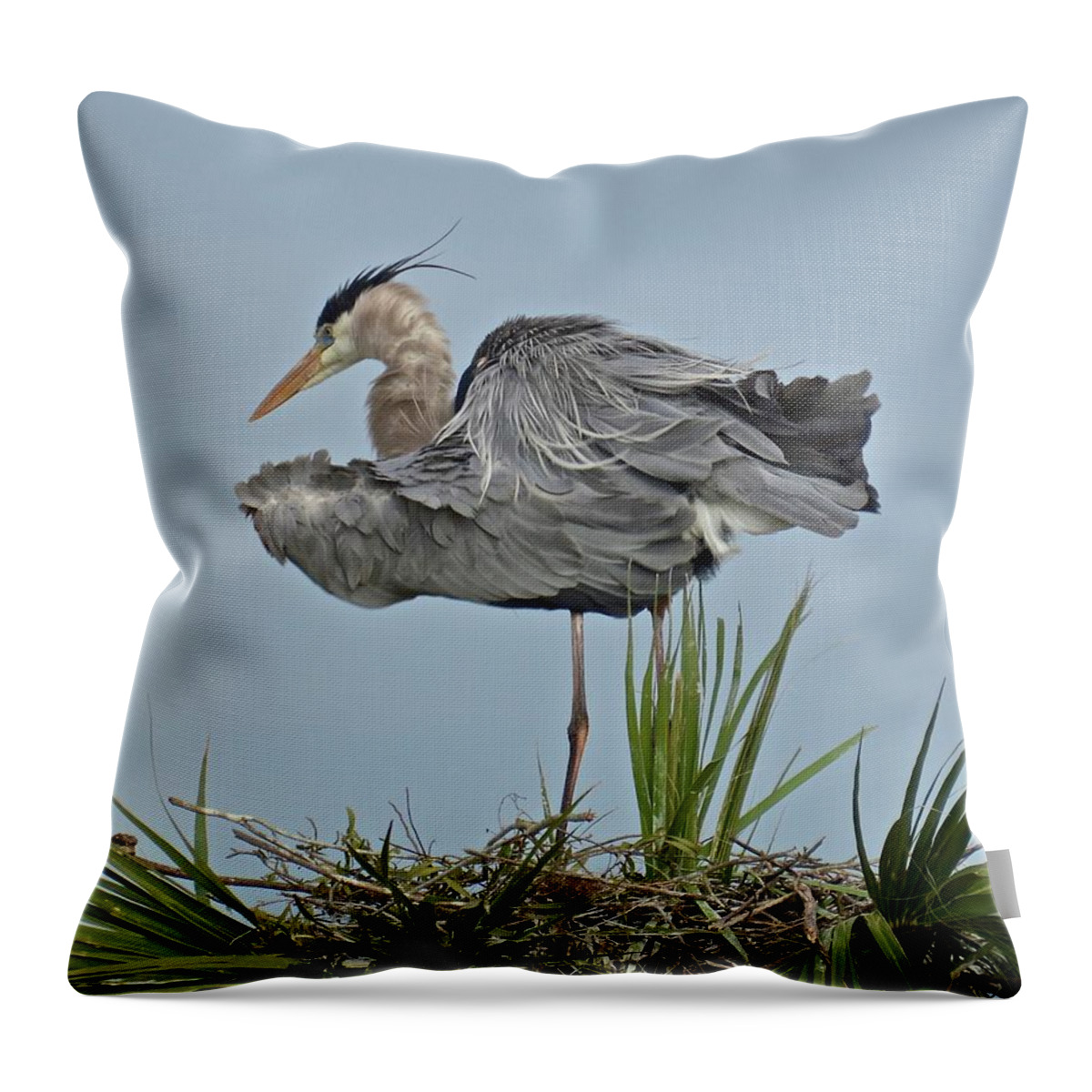 Nest Throw Pillow featuring the photograph All Shook Up by Carol Bradley
