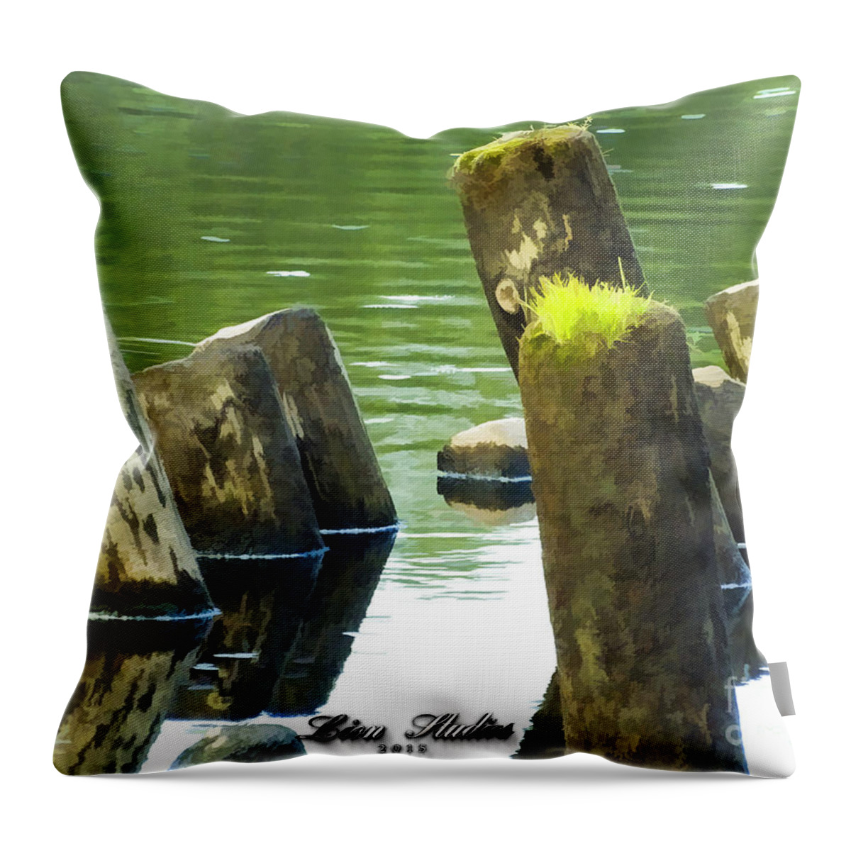 Photoshop Throw Pillow featuring the photograph All That Remains by Melissa Messick