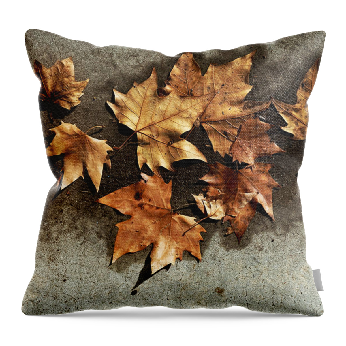 Leaves Throw Pillow featuring the photograph All The Leaves Are Brown by Wayne Sherriff
