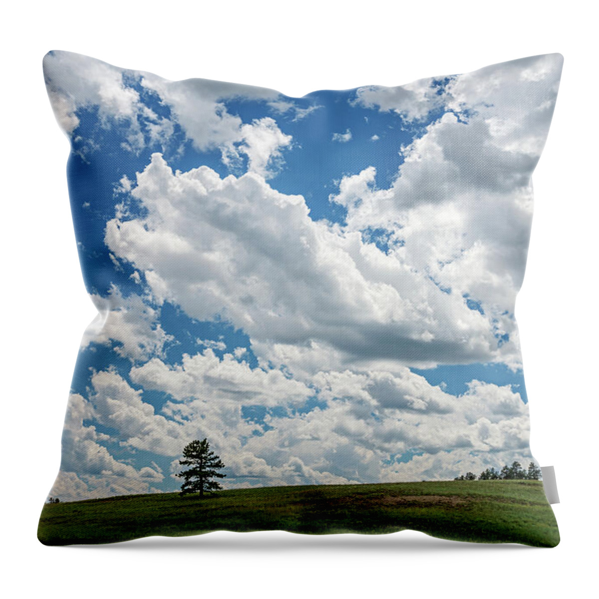 Teller County Throw Pillow featuring the photograph All The Livelong Day by Bijan Pirnia