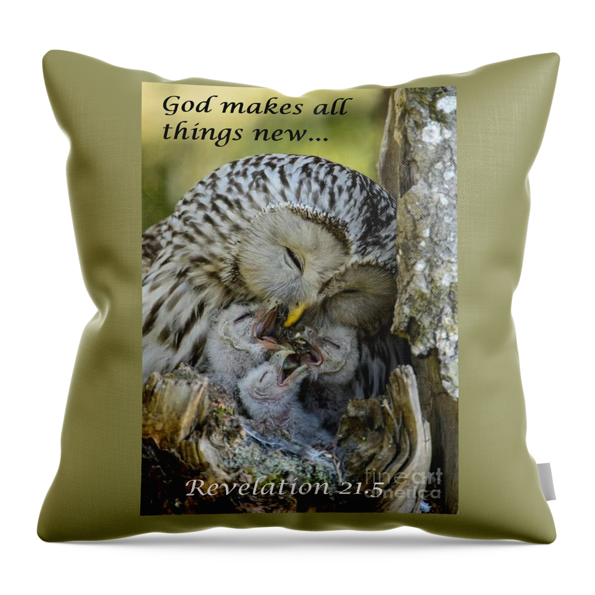  Throw Pillow featuring the photograph All Things New by Terrie Sizemore