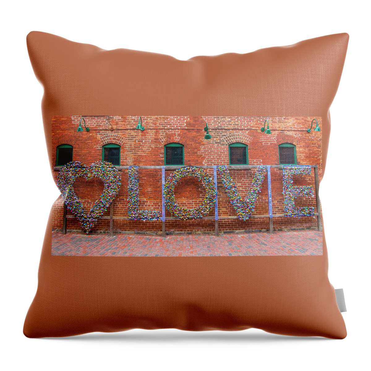 Love Throw Pillow featuring the photograph All You Need Is Locks of Love by Venetia Featherstone-Witty