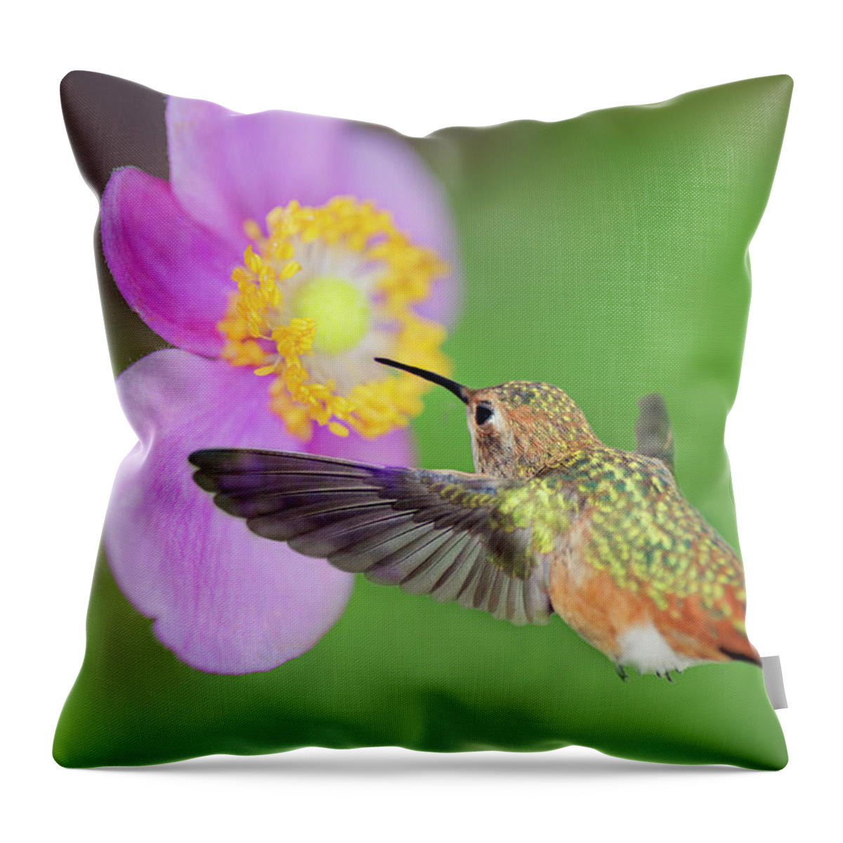 Hummingbird Throw Pillow featuring the photograph Allens Hummingbird and Anemone by Susan Gary