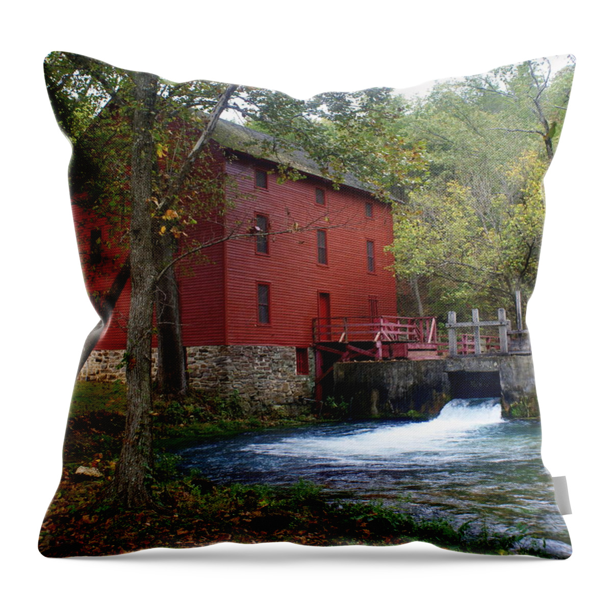 Ozarks Throw Pillow featuring the photograph Alley Sprng Mill 3 by Marty Koch