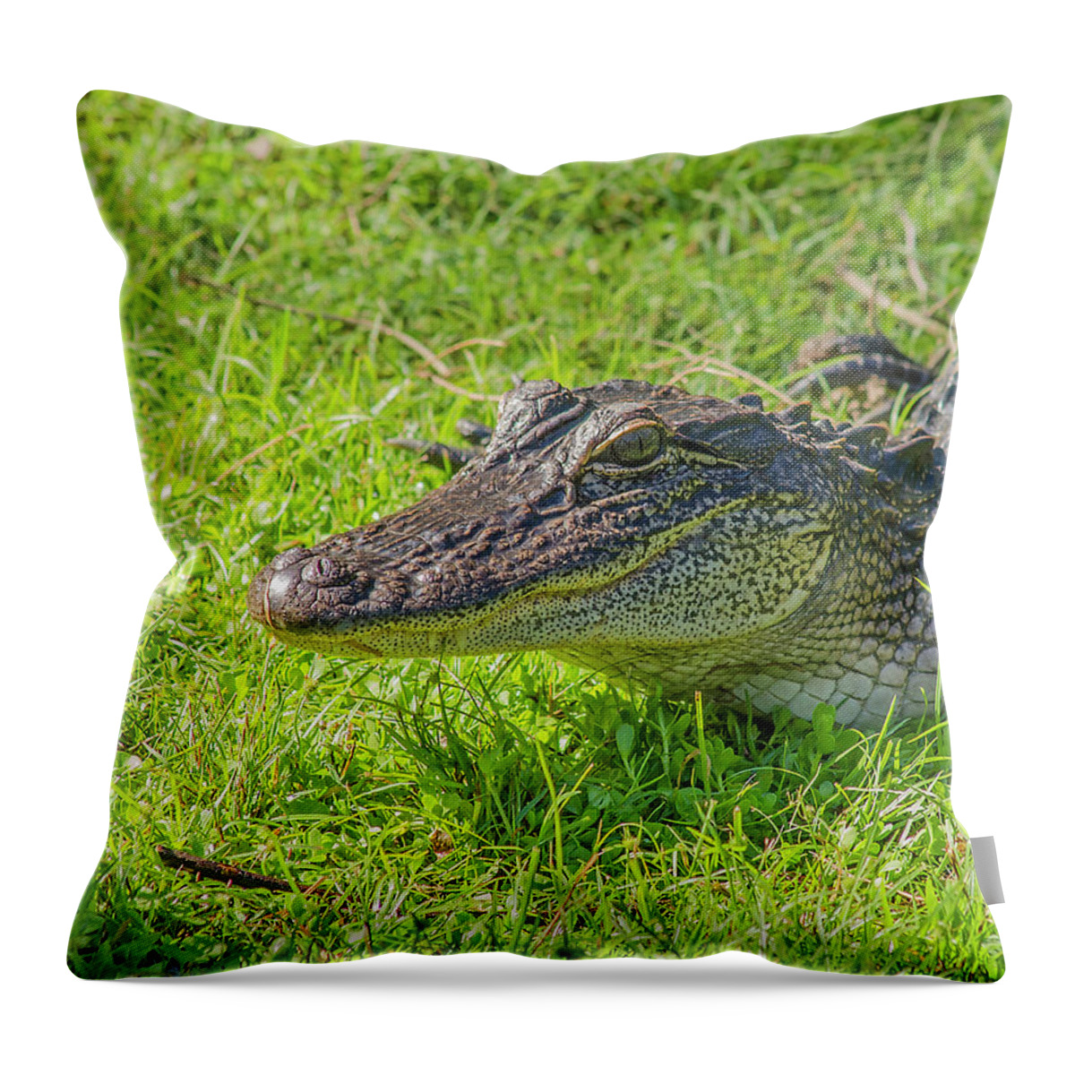 Louisiana Throw Pillow featuring the photograph Alligator Up Close by Allen Sheffield