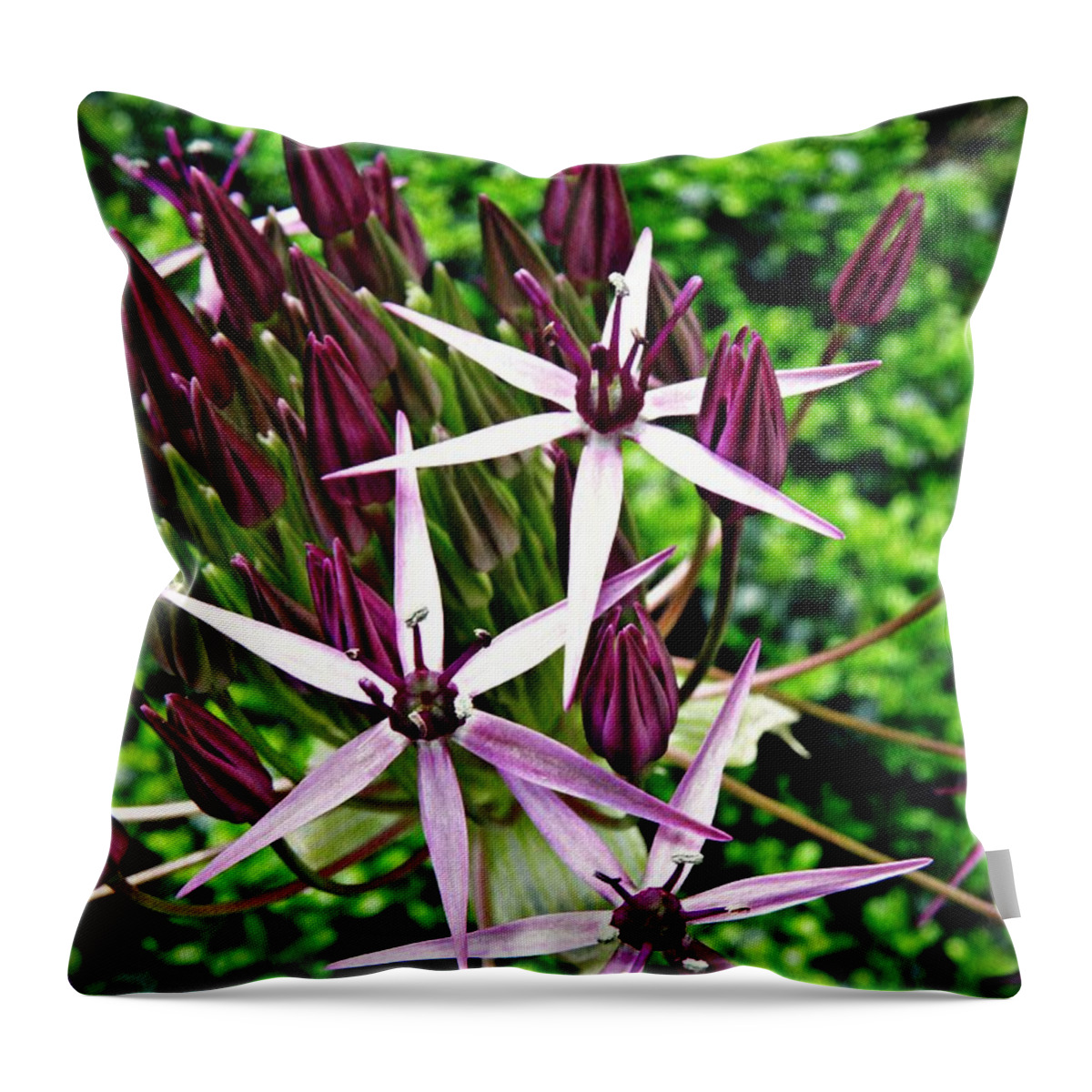 Allium Throw Pillow featuring the photograph Allium Macro 2 by Sarah Loft