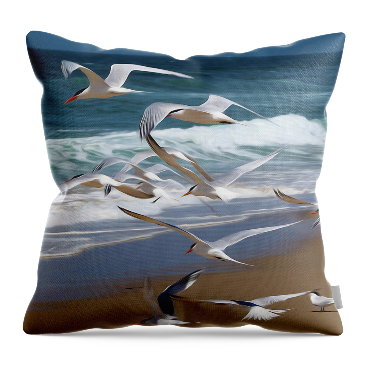 Birds Throw Pillow featuring the photograph Aloft Again by Joe Schofield