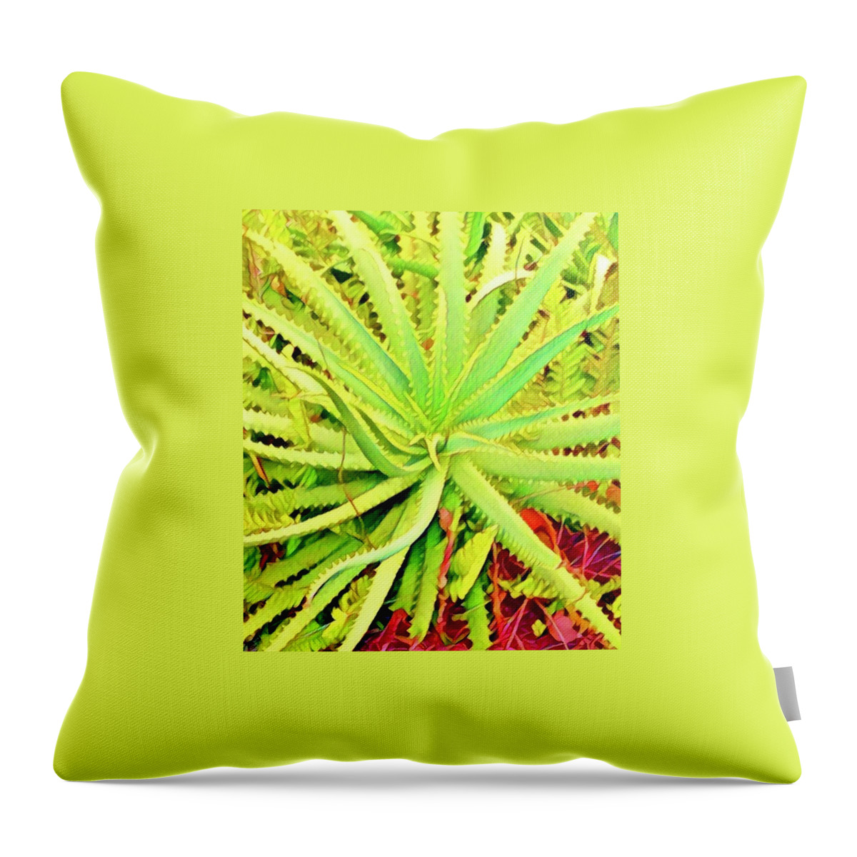 #flowersofaloha #flowerpower #aloe #lime Throw Pillow featuring the photograph Aloha Aloe in Puna in Lime by Joalene Young
