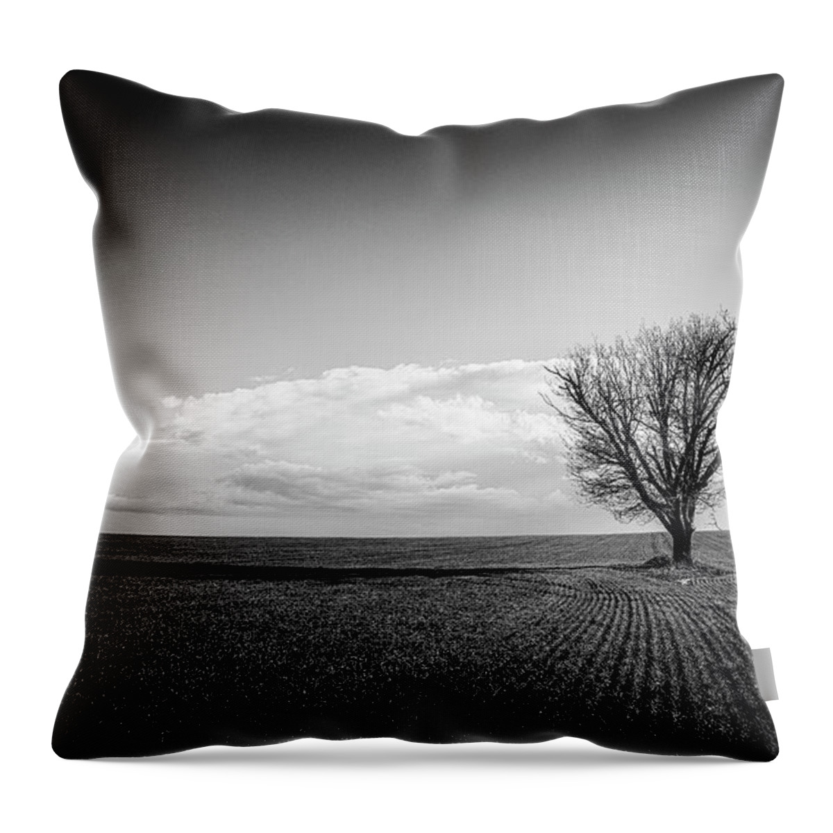 Alone Throw Pillow featuring the photograph Alone 05/12/2017 by Plamen Petkov
