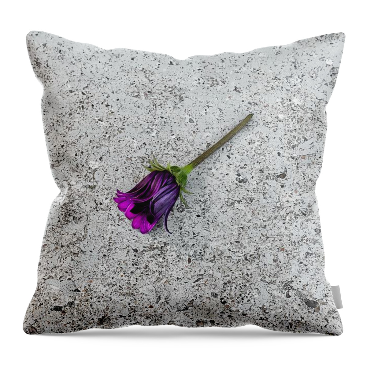 Flower Throw Pillow featuring the photograph Alone by Alison Frank