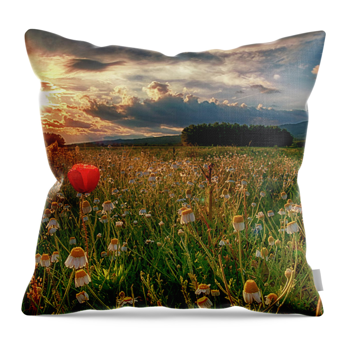 Poppy Throw Pillow featuring the photograph Alone among many by Plamen Petkov