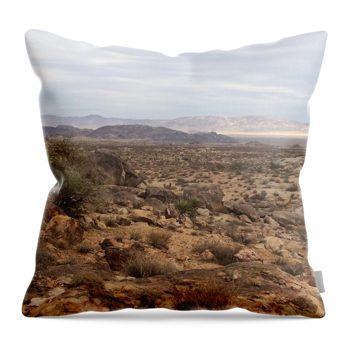 Desert Throw Pillow featuring the photograph Alone by Barbara Prestridge