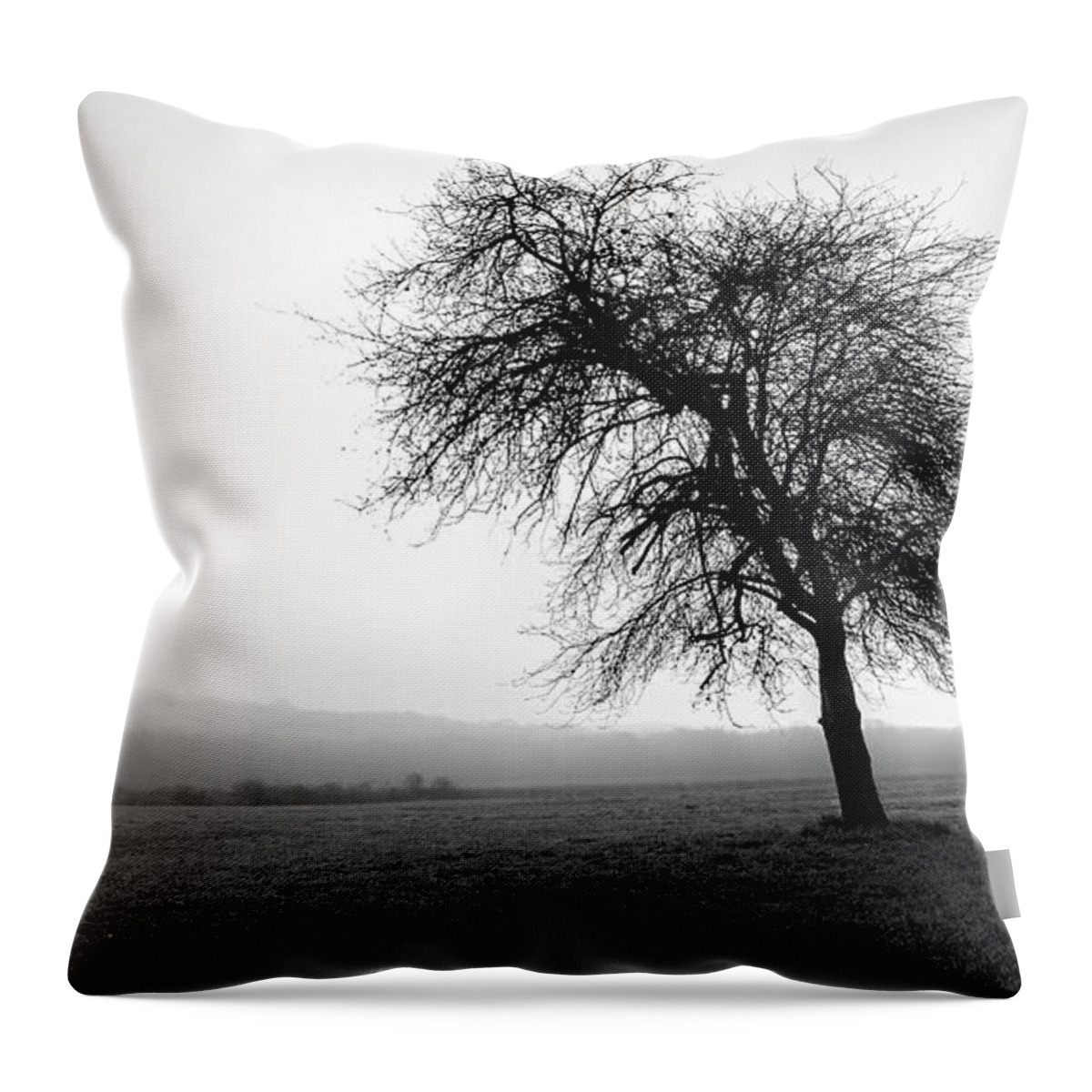 Andrew Pacheco Throw Pillow featuring the photograph Alone in a Field by Andrew Pacheco