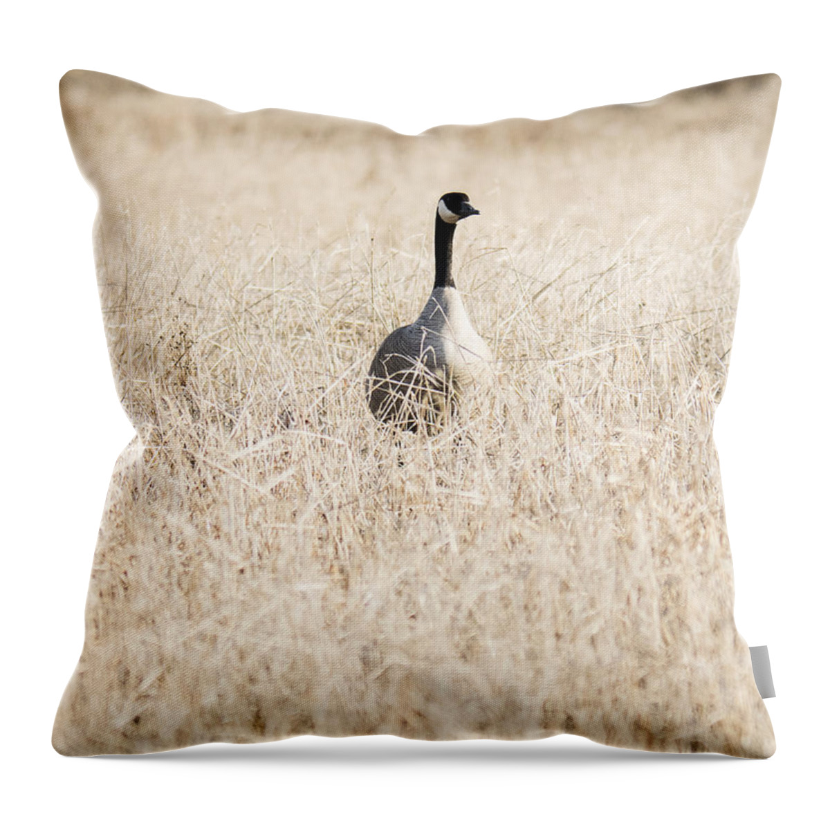 Alaska Throw Pillow featuring the photograph Alone in the Field by Ian Johnson