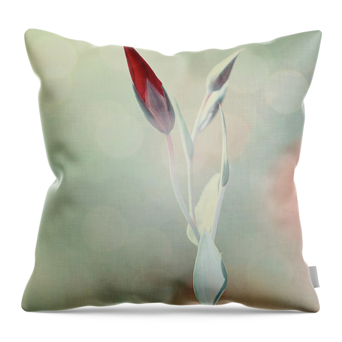 Flower Throw Pillow featuring the photograph Alone in the Light by Philippe Sainte-Laudy