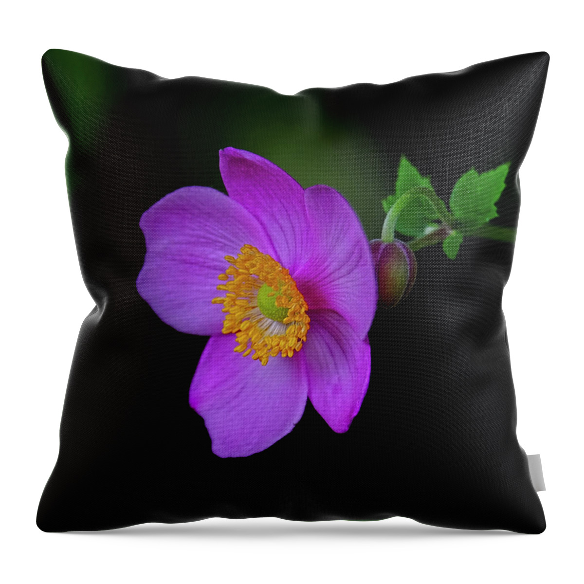 Anemone Throw Pillow featuring the photograph Anenome purple by Ronda Ryan