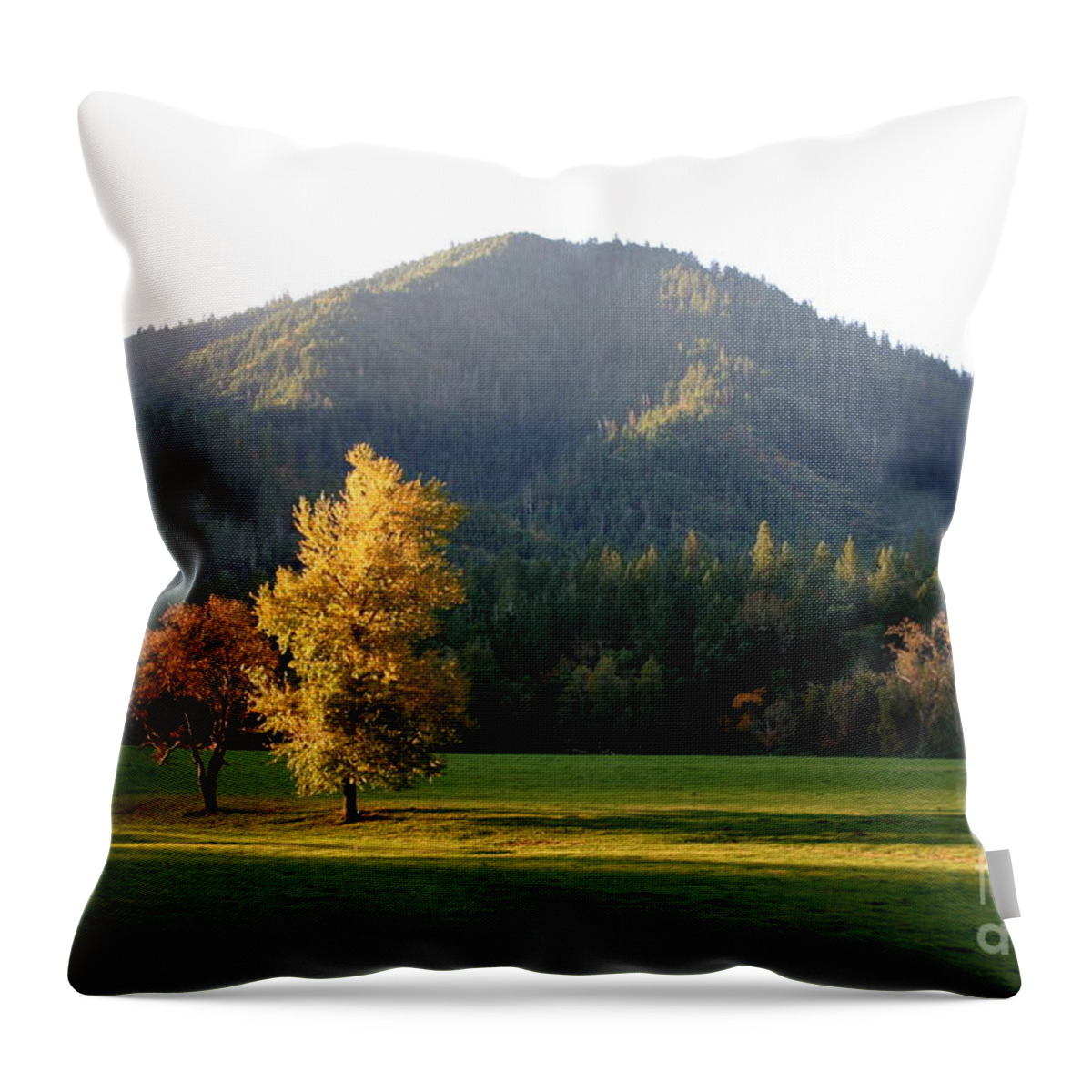Nature Throw Pillow featuring the photograph Alone Together Nature s Spotlight by Marie Neder