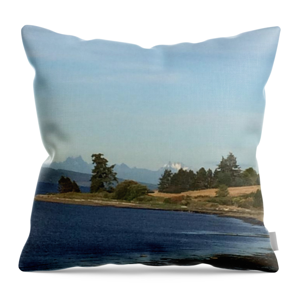 Water Throw Pillow featuring the photograph Along Dugualla Bay by Suzanne Schaefer