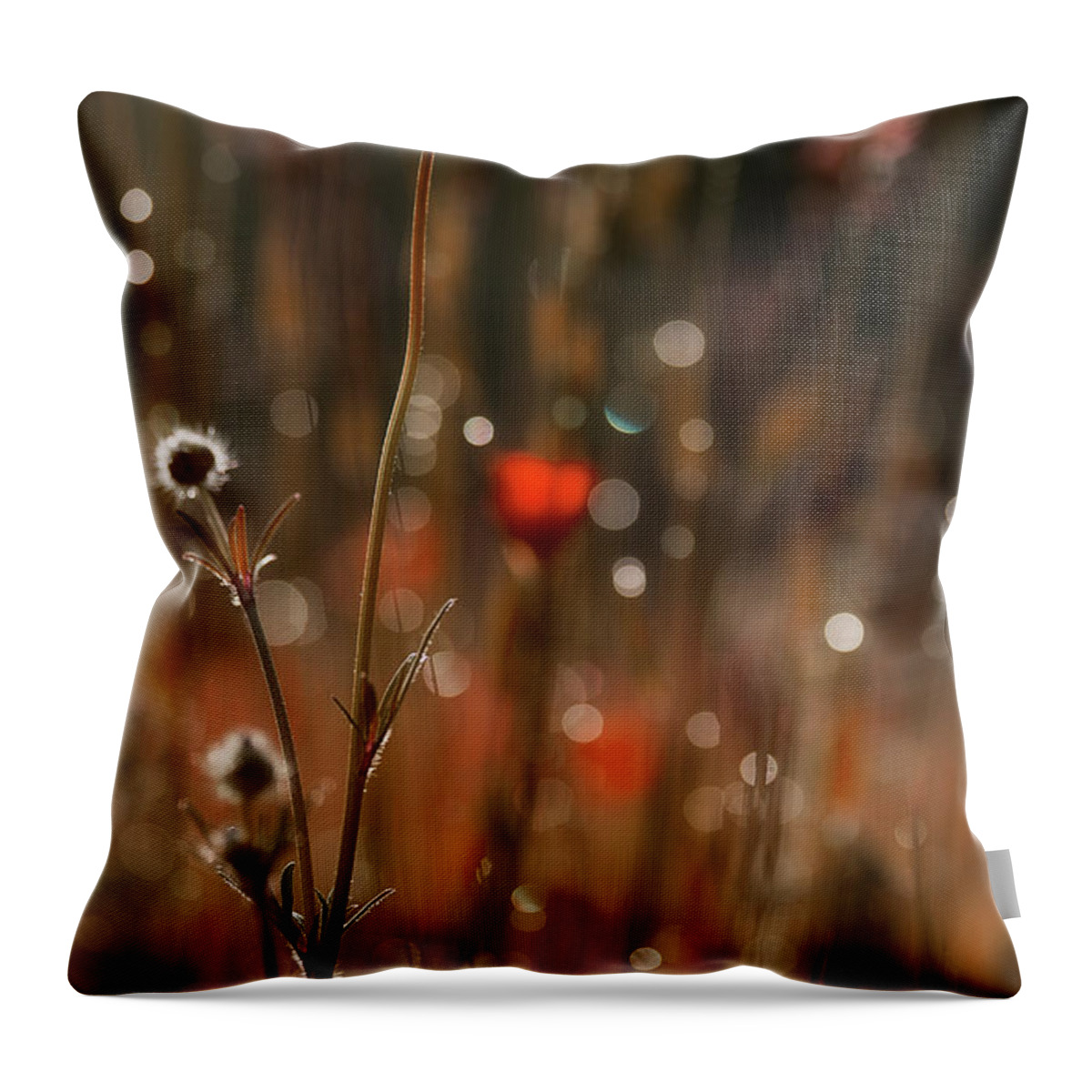 Meadow Flowers Throw Pillow featuring the photograph Along The Edge Of Morning by Mike Eingle