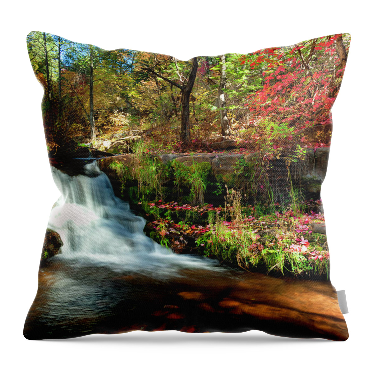Autumn Throw Pillow featuring the photograph Along the Horton Trail by Anthony Citro