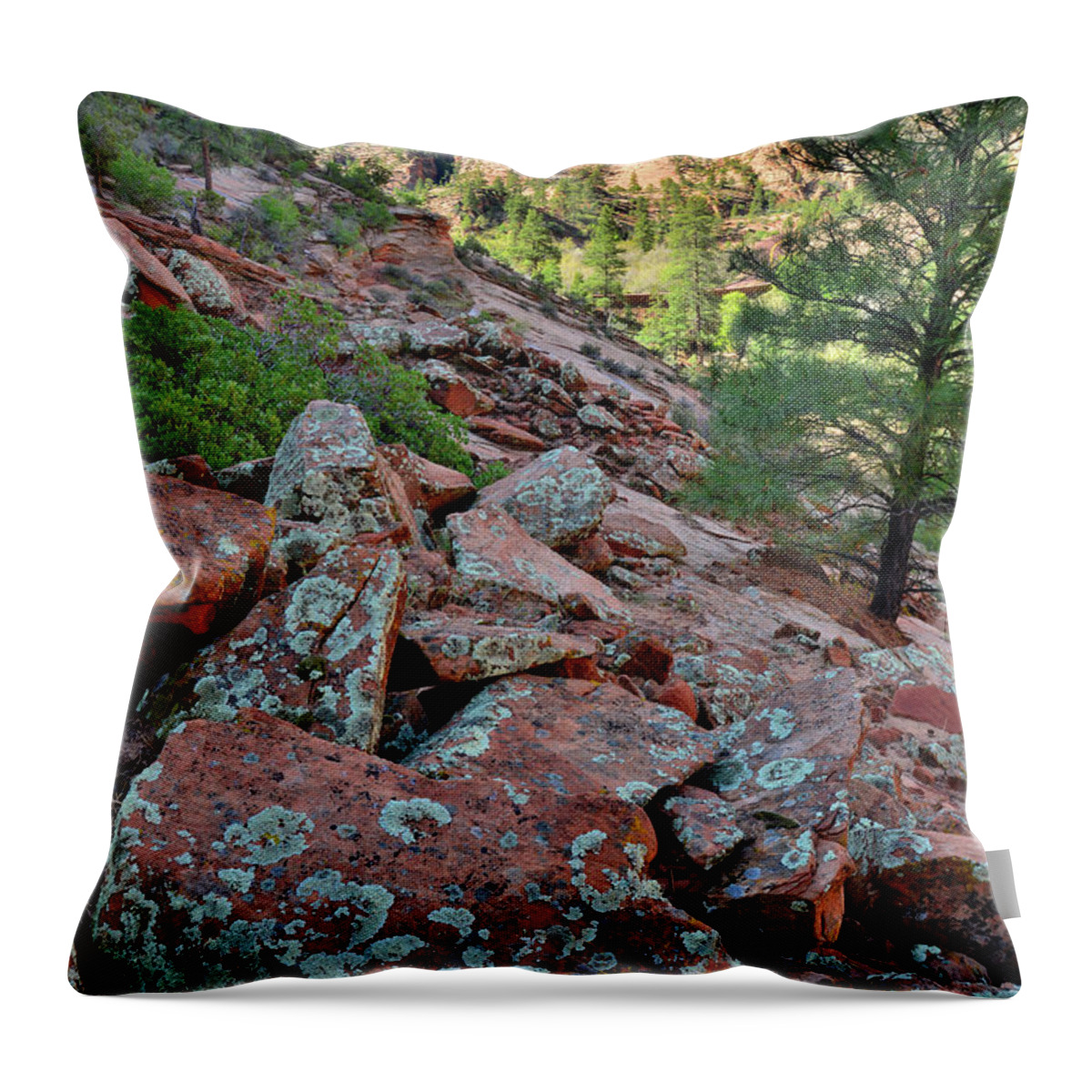 Zion National Park Throw Pillow featuring the photograph Along the Park Road by Ray Mathis
