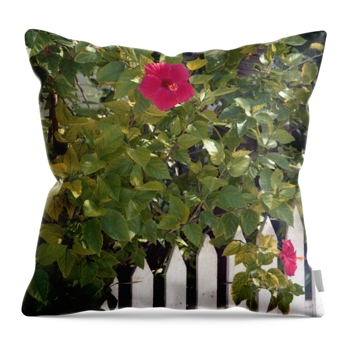 Azelea Throw Pillow featuring the photograph Along the Picket Fence by Richard Rizzo