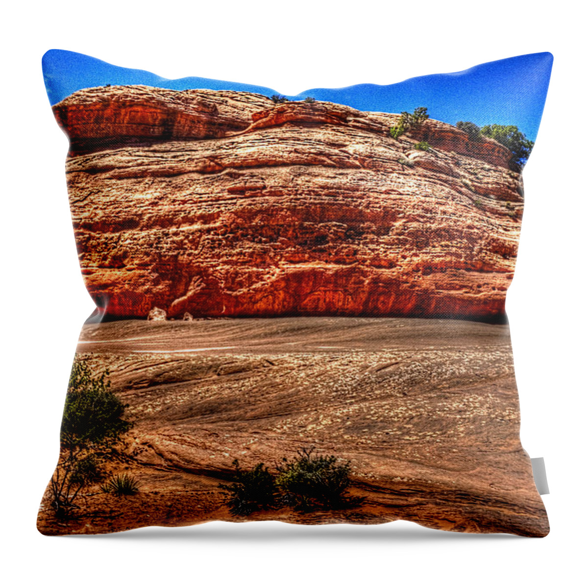 Pictorial Throw Pillow featuring the photograph Along the Trail to Delicate Arch by Roger Passman