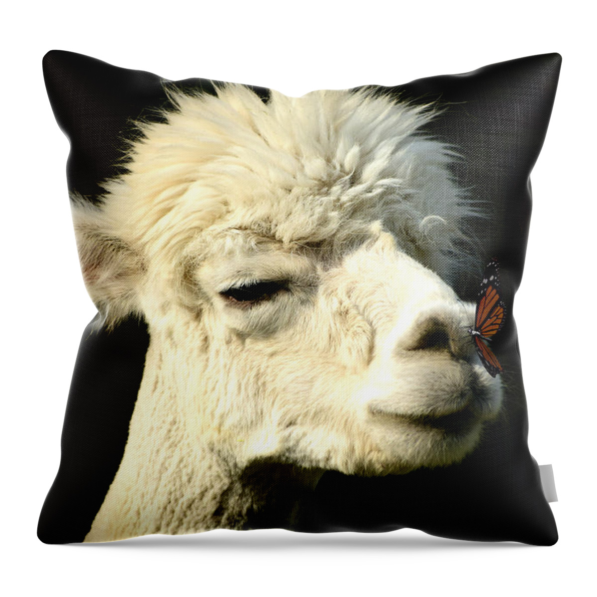 Alpaca Throw Pillow featuring the photograph Alpaca Meets Butterfly by Ally White