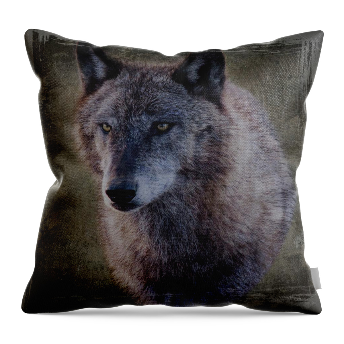 Mammal Throw Pillow featuring the photograph Alpha Wolf Portrait by Teresa Wilson