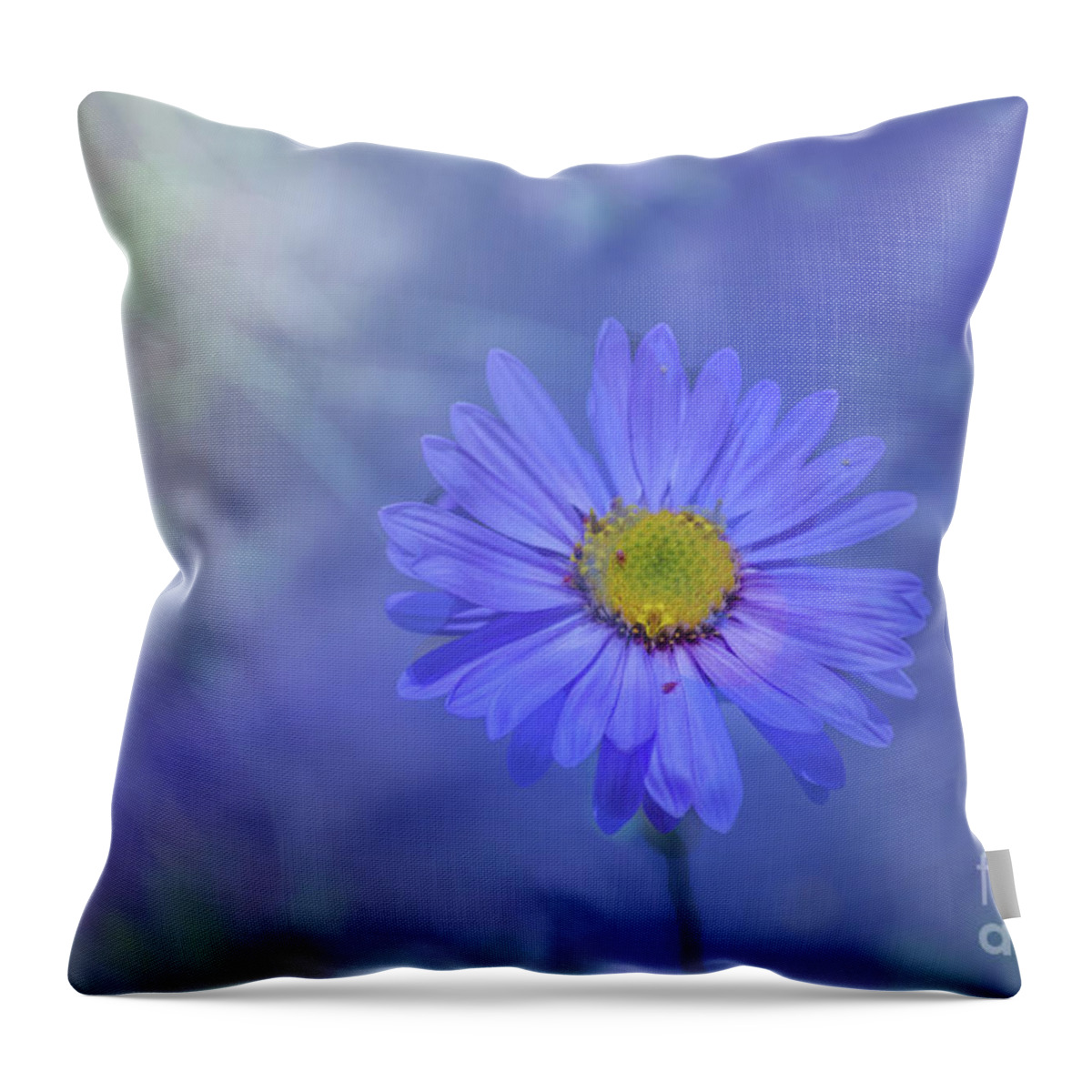Michelle Meenawong Throw Pillow featuring the photograph Alpine Aster With Overlay by Michelle Meenawong