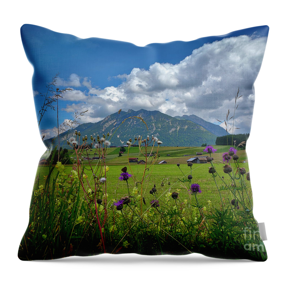 Nag005006 Throw Pillow featuring the photograph Alpine Beauty by Edmund Nagele FRPS