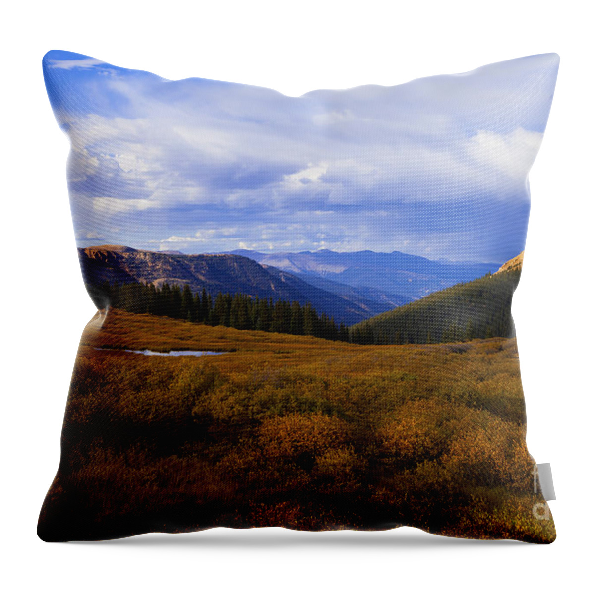 Autumn Throw Pillow featuring the photograph Alpine Pond by Barbara Schultheis