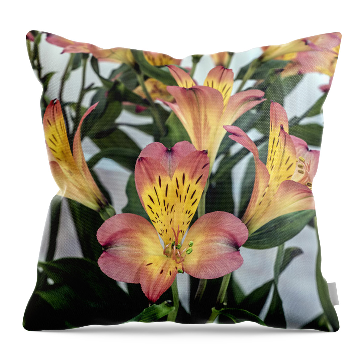Flower Throw Pillow featuring the photograph Alstroemeria Blossoms by William Bitman