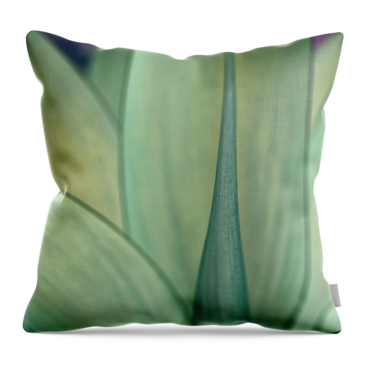 Digitally Altered Flower Photography - Digital Decor Art Designs By Andrew Hewett Of Www.hewettinsite.co.za Throw Pillow featuring the photograph Altered Flower - 155 by Andrew Hewett