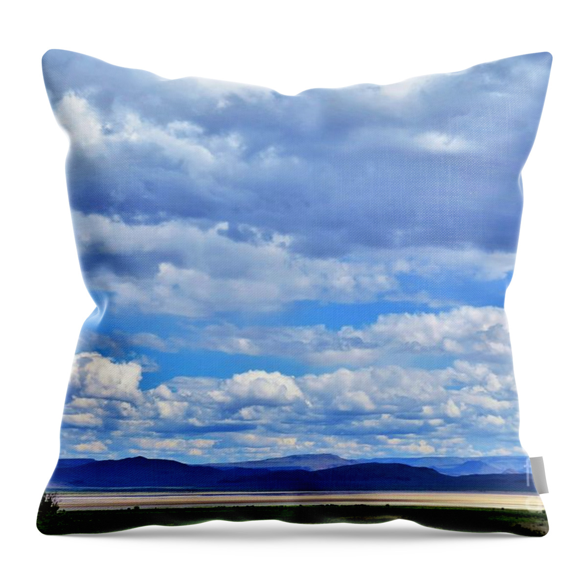 Alvord Desert Throw Pillow featuring the photograph Sky Over Alvord Playa by Michele Penner