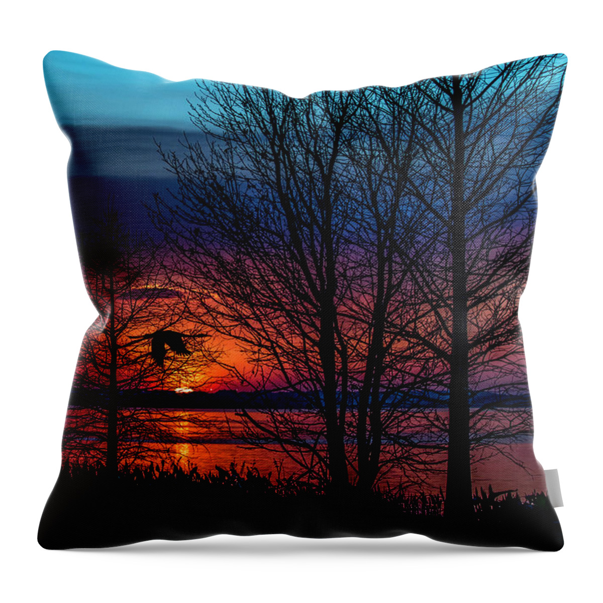Sundown Throw Pillow featuring the photograph Always Beautiful by Pete Rems