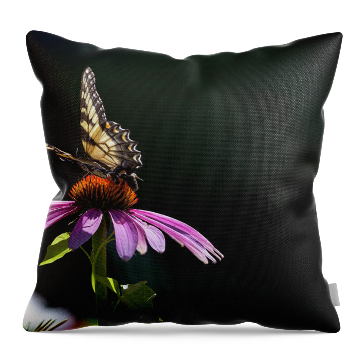  Throw Pillow featuring the photograph Always June by Phil Mancuso
