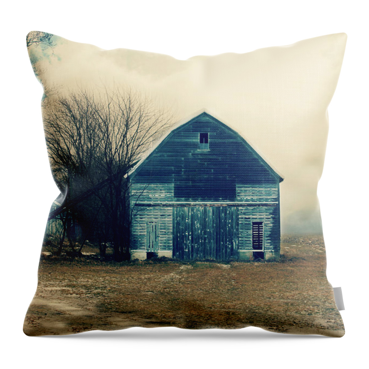 Barn Throw Pillow featuring the photograph Always Work to do by Julie Hamilton
