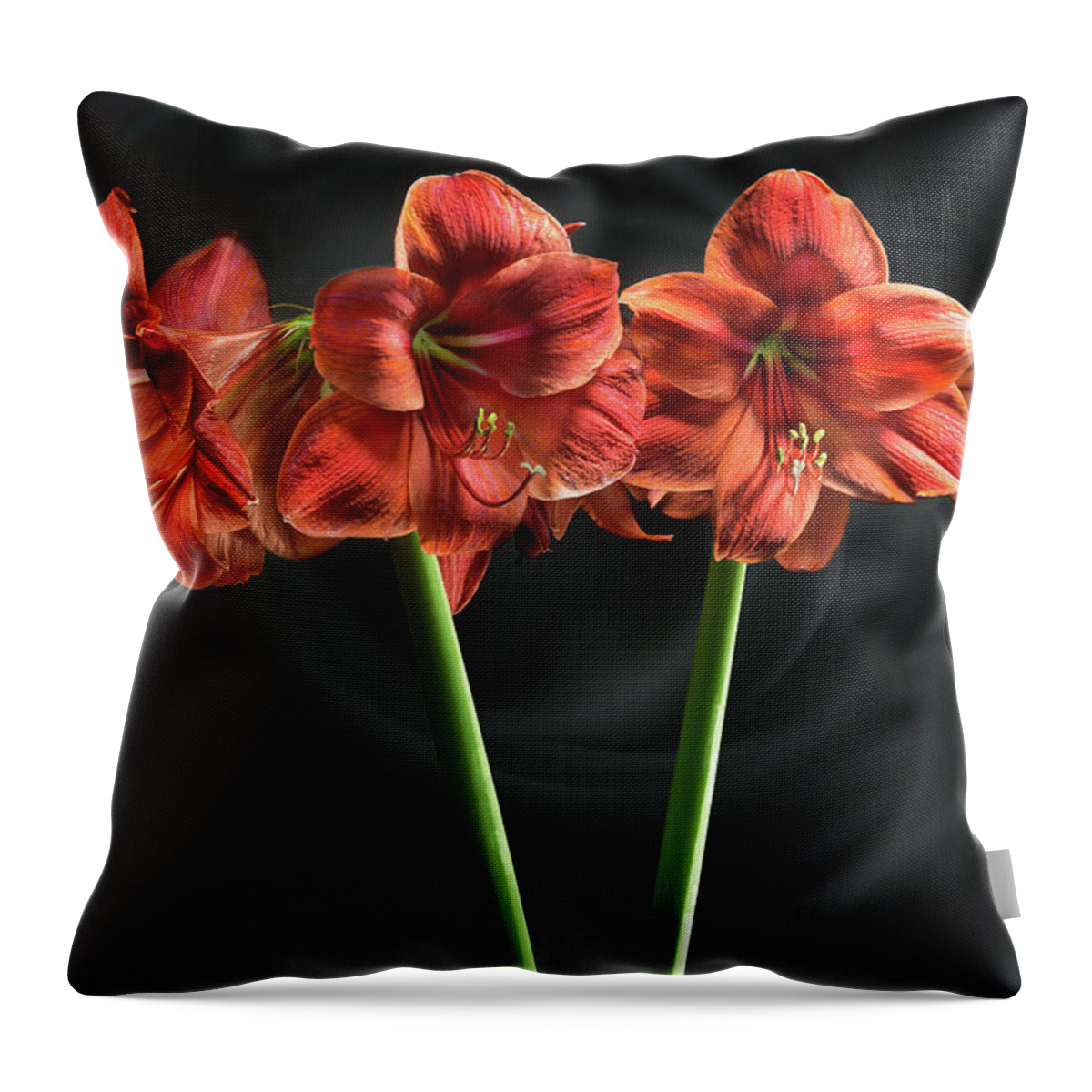 Light Painting Throw Pillow featuring the photograph Amarilis by Niels Nielsen